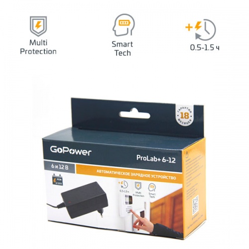 Зарядное устройство GoPower ProLab+ 6-12 фото 3