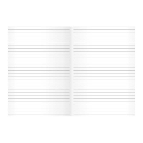 Бизнес-тетрадь "Work Diary" A4, 120 л, линейка фото 2