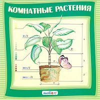 Комнатные растения