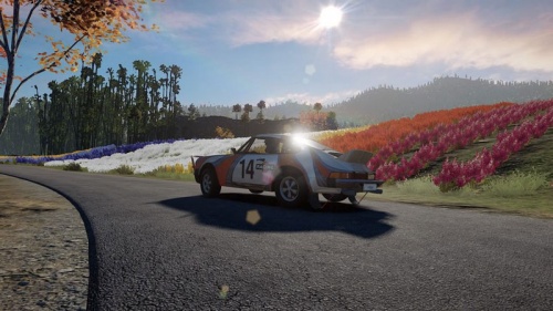 V-Rally 4 (PS4) фото 3