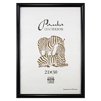 Фоторамка 21х30 Zebra 508, черный