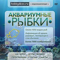 Аквариумные рыбки 2.0