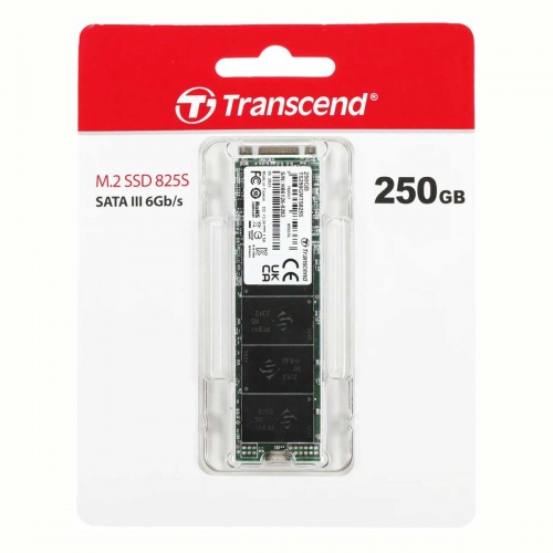 SSD накопитель M.2 SATA Transcend 825S 250Gb фото 2