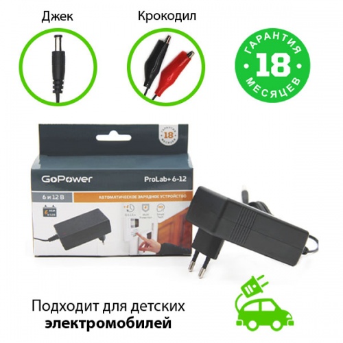 Зарядное устройство GoPower ProLab+ 6-12 фото 2